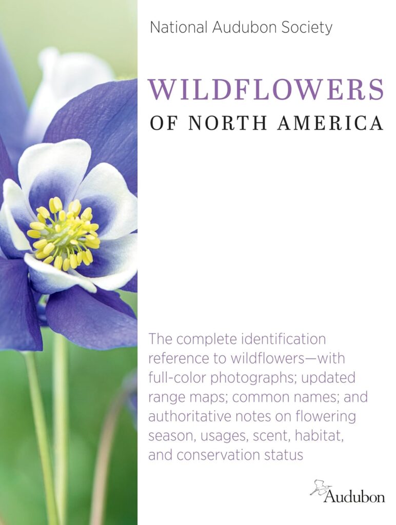 wildflower field guide