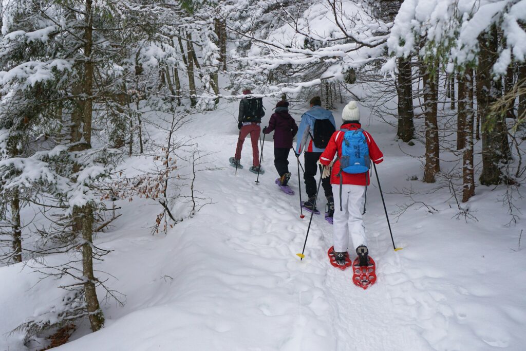 snowshoeing vs cross-country skiing
