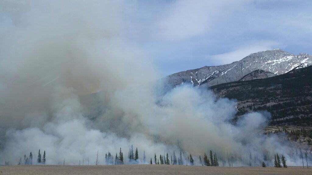 Protect Your Home Against Wildfires