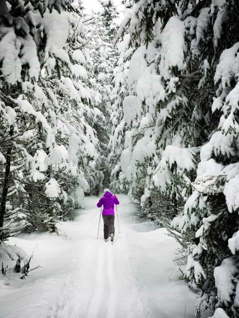 cross country skiing
