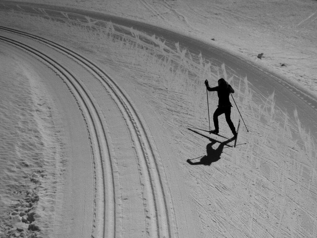ski skate
