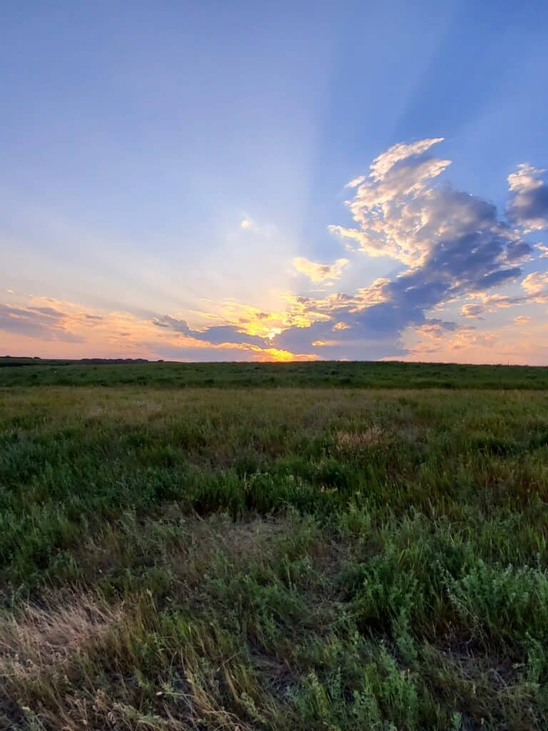 golden hour photography