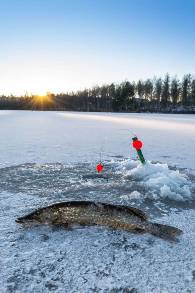 How to Use Ice Fishing Tip-Ups