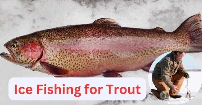 Ice fishing for trout