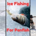 ice fishing for panfish