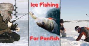 ice fishing for panfish