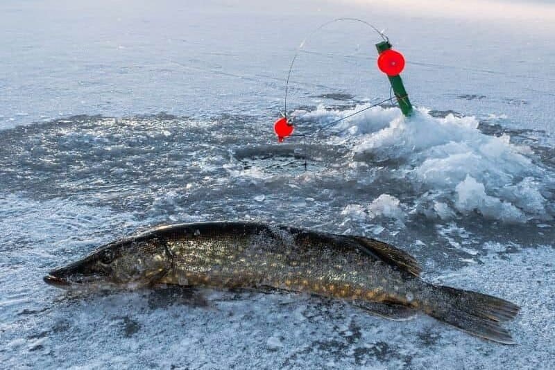 How to Use Ice Fishing Tip-Ups