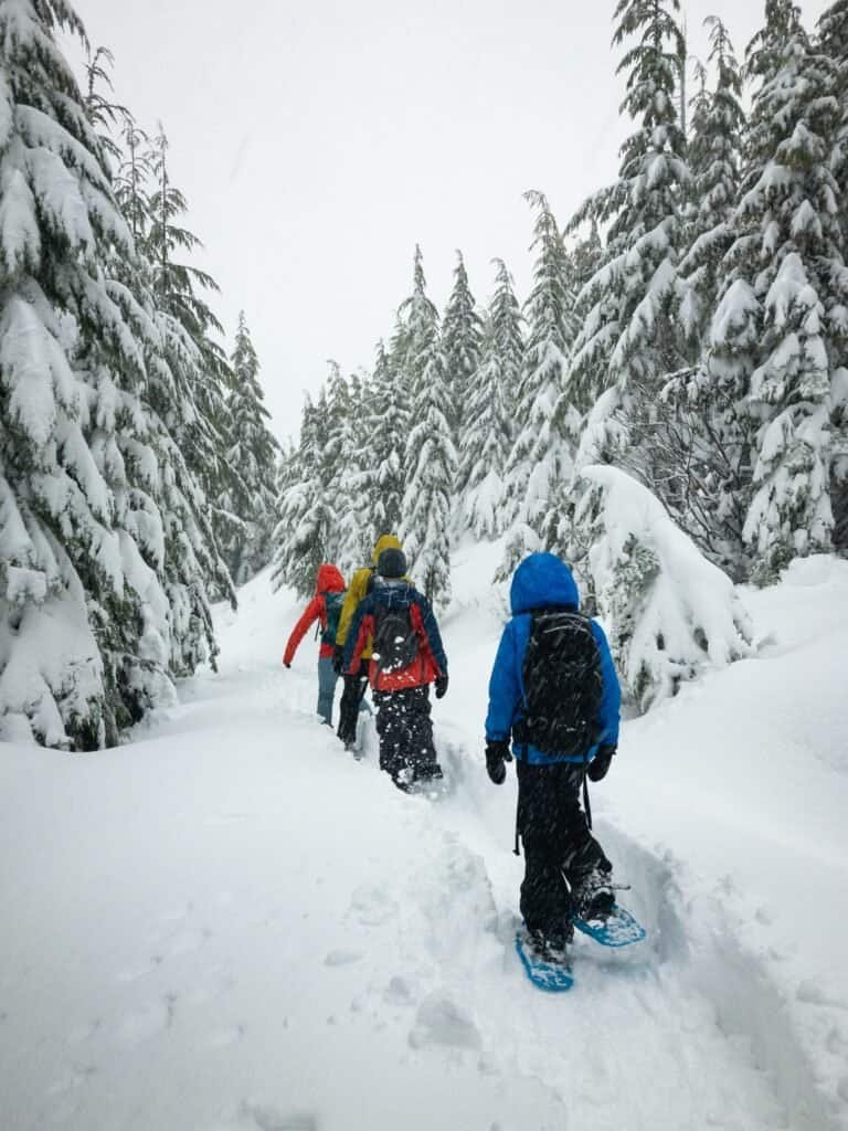 beginner's guide to snowshoeing