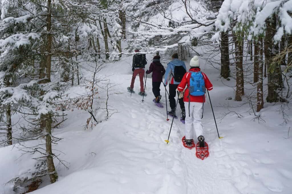 beginners guide to snowshoeing