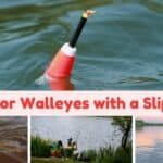 fishing for walleyes with a slip bobber