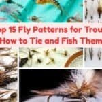 Top 15 Fly Patterns for Catching Trout