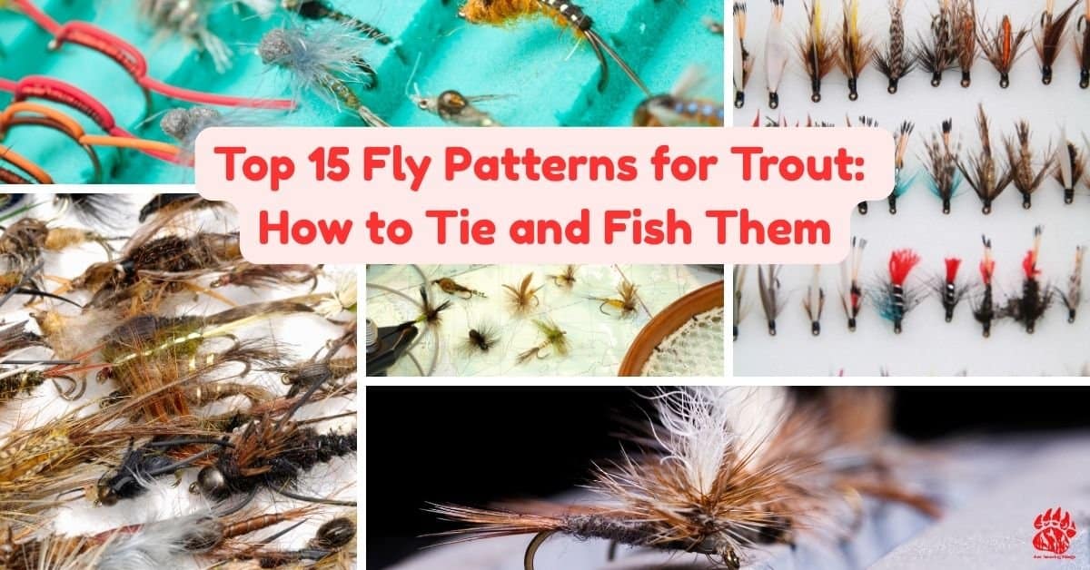 Top 15 Fly Patterns For Catching Trout • 2025