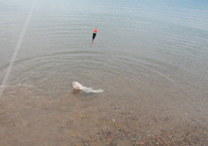 Master Fishing Walleye with a Slip Bobber: Tips and Techniques for Success walleye caught with slip bobber