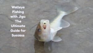Walleye Fishing with Jigs