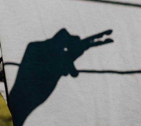 shadow puppet