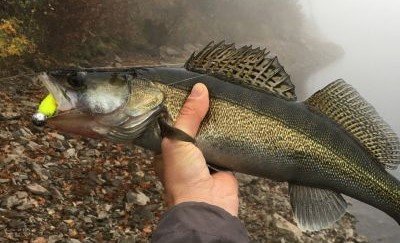 Walleye Fishing with Jigs: Beginners Guide for Success Walleye Fishing with Jigs