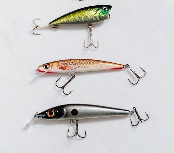 bass crank baits