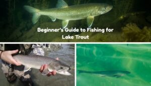 beginner's guide to fishing lake trout