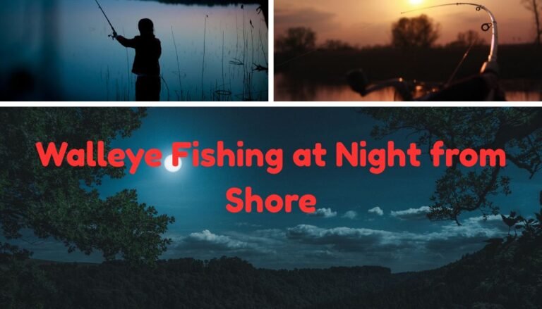 Night fishing for walleyes from shore