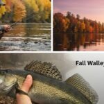 Fall Walleye Fishing