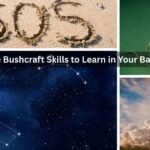 9 More Bushcraft Skills to Learn in Your Backyard 9 More Bushcraft Skills to Learn in Your Backyard