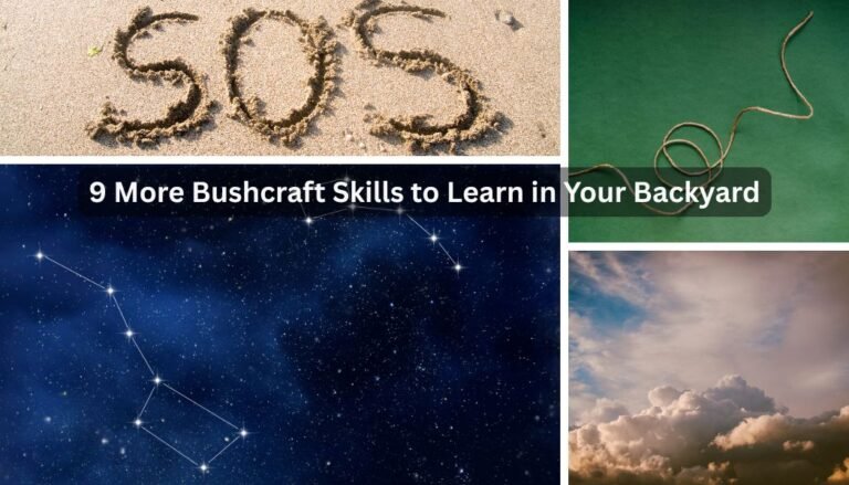 9 More Bushcraft Skills to Learn in Your Backyard