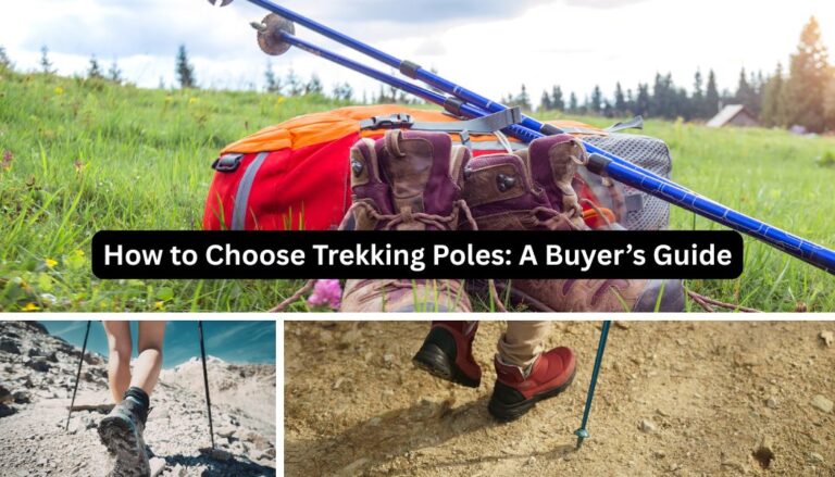How to choose trekking poles